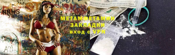 трава Пересвет