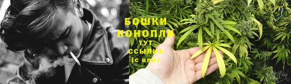 МДПВ Богданович