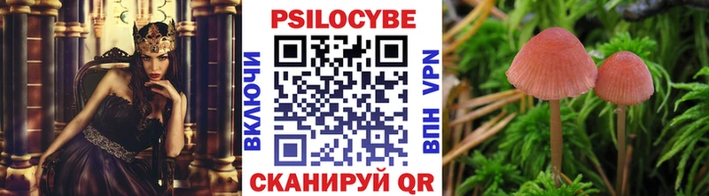 omg зеркало  Болотное  Псилоцибиновые грибы Psilocybine cubensis 